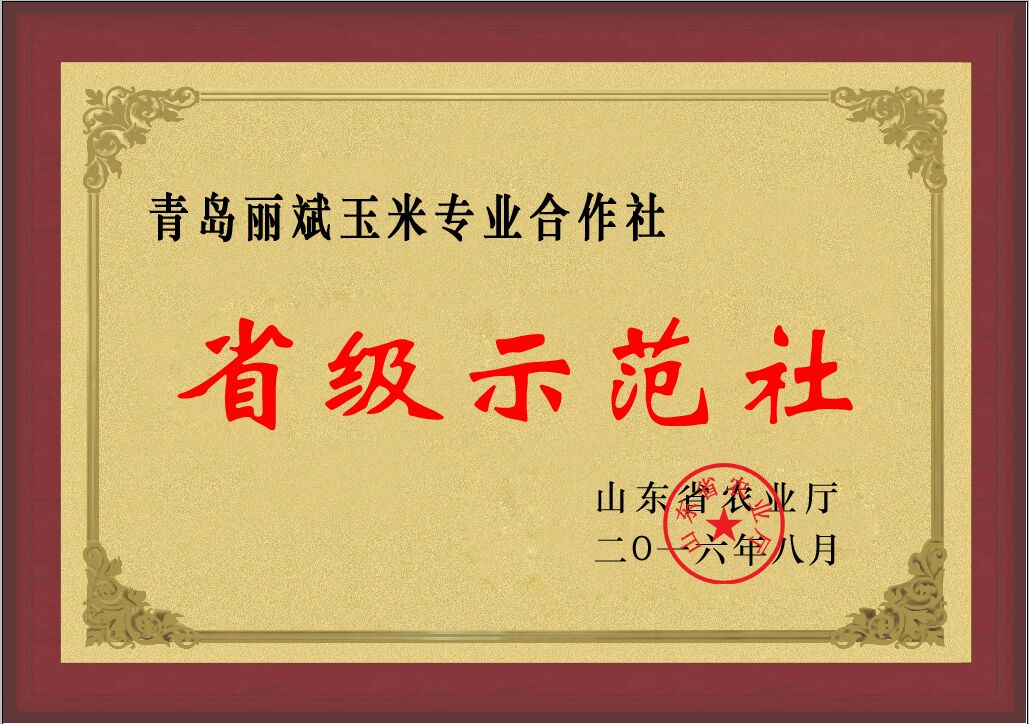 公司榮譽(yù)